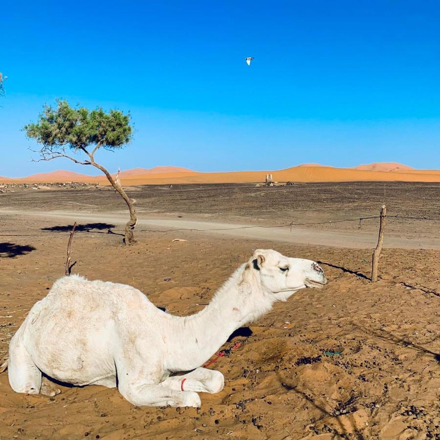 Maison Adrar Merzouga Dış mekan fotoğraf