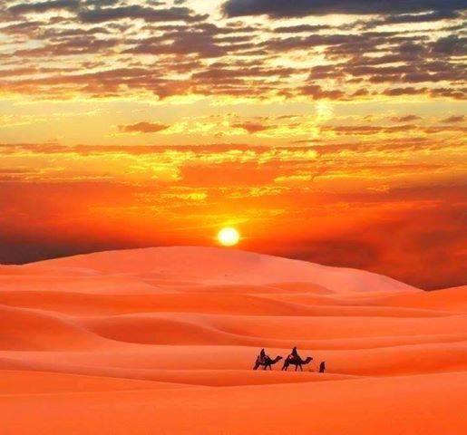 Maison Adrar Merzouga Dış mekan fotoğraf